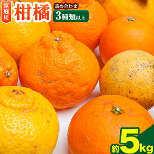 yӂ邳Ɣ[Łzys\z I |J Iׂ 1kg{250g 2.5kg{250g 5kg{250g 10kg{250g (ݕ⏞) ZT[I a̎RY Lc |J W[V[ rc_ s1-2