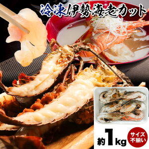 yӂ邳Ɣ[Łz Gr Ⓚ ɐCVJbg  1kg (TCYs) Ђ͂ s30ȓɏoח\(yj)ta̎R  ɐ ɐCV Jbg