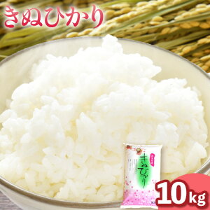 yӂ邳Ɣ[Łzߘa7NY  ʂЂ 10kg X}C s30ȓɏoח\(yj)t a̎R     R ʂЂ LkqJ 