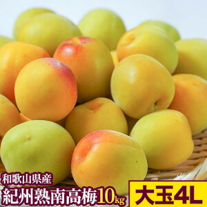 yӂ邳Ɣ[ŁzIBn썂~ 10kg IׂTCY M܂LTCY L܂2LTCY 2L܂3LTCY 3L܂4LTCY 4LTCY ӂ邳Ɣ_s6{-6{oח\ta̎R 