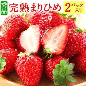yӂ邳Ɣ[Łza̎RY Gi n܂Ђ1 (2pbN) Џs2026N1{-3{oׁta̎R 
