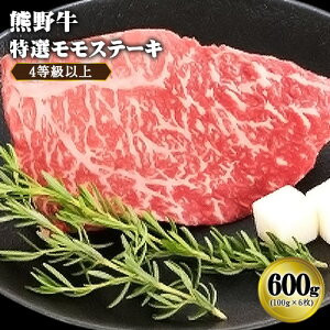 yӂ邳Ɣ[ŁzuF싍vIXe[L 300g or 600g Iׂe 4ȏ Џs30ȓɏoח\(yj)ta̎R 