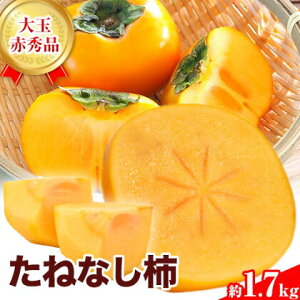 yӂ邳Ɣ[ŁzԏGi ˂Ȃ` (  )1.7kg (6) _s2025N9{-11{蔭\(yj)t a̎R  `  JL  Ƃ˂킹 t[c ʕ 