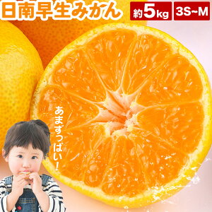 yӂ邳Ɣ[Łzy2026Ns\z݂ 쑁݂  ݂ 5kg 3S-MTCY ǂ̍ʎs10{-10{oׁta̎R  Yn k ݂ { t[c ʕ 