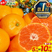 【ふるさと納税】2/10終了《最短出荷すぐ届く！》 訳あり みかん 和歌山...