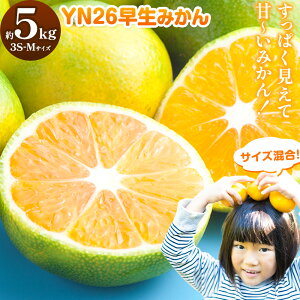 yӂ邳Ɣ[Łz݂ ݂ YN26  ݂ TCY 5kg 3S-MTCY ǂ̍ʎs2026N9{-9{oׁta̎R  Yn s k ݂ { t[c 