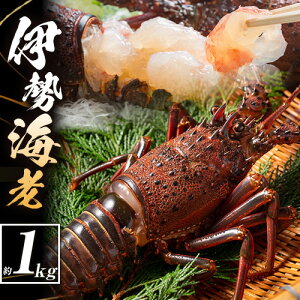 �y�ӂ邳�Ɣ[�Łz�ɐ��C�V ���`���� �� �ɐ��C�V ��500g (2�`3�C) ��1kg (3�`5�C) ���苙�Ƌ����g���s12����{-4�����{���o�ׁt�a�̎R�� ������ �C�Y�� �C�N ���� �G�r �������� �C�Z�G�r ���� 