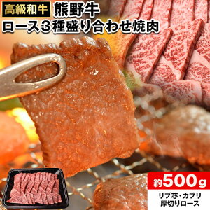 yӂ邳Ɣ[Łza̎RY a F싍 [Xē 500g GoO[s30ȓɏoח\(yj)t a̎R     F싍 a 