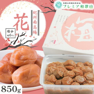 yӂ邳Ɣ[Łz~ IB썂~   6% 500g 850g 1pbN s60ȓɏoח\(yj)t Ђ܂ a̎R  ~   ~   Y 