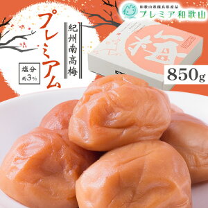 yӂ邳Ɣ[Łz~ IB썂~ v~A  3% 500g ܂ 850g s60ȓɏoח\(yj)t Ђ܂ a̎R  ~  ~   Y 