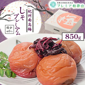 yӂ邳Ɣ[Łz~ IB썂~  v~A  6% 500g ܂ 850g s60ȓɏoח\(yj)t Ђ܂ a̎R  ~ ~ ~  ~   