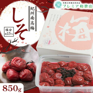 yӂ邳Ɣ[Łz~ IB썂~   15% 500g 850g 1pbN s60ȓɏoח\(yj)t Ђ܂ a̎R  ~  ~ ~   Y ~ 