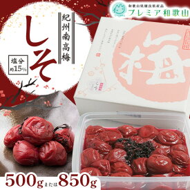 【ふるさと納税】梅干し 紀州南高梅 しそ 塩分 約15% 500g 850g 1パック 《60日以内に出荷予定(土日祝除く)》 株式会社やまだ 和歌山県 日高町 梅 しそ しそ梅 梅干し 米 おかず 国産 梅干し うめぼし 梅干 送料無料