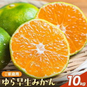 �y�ӂ邳�Ɣ[�Łz�y��s�\��z���ƒ�p ��瑁���݂��� �I�ׂ� 1kg 3kg 5kg 10kg �L�c�}���V�F�s2026�N10����{-11����{���o�ח\��t �a�̎R�� ������ �݂��� ���k �t���[�c �������� ���� �~�J��