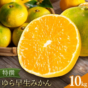 �y�ӂ邳�Ɣ[�Łz���� ��瑁���݂��� �I�ׂ� 2kg 3kg 5kg 10kg �L�c�}���V�F�s2026�N10����{-11����{���o�ח\��t �a�̎R�� ������ �݂��� ���k �t���[�c �������� ���� �~�J�� �����p �����݂�