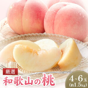 �y�ӂ邳�Ɣ[�Łz�y��s�\��z���I �a�̎R�̓� 4~6�� ��1.5kg �L�c�}���V�F�s2026�N6�����{-7�����{���o�ח\��t�a�̎R�� ������ �a�̎R�Y�̓� �{ �� ���� ���� �t���[�c �ʕ� �����p �v���[��