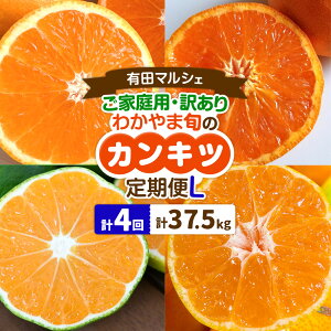 yӂ邳Ɣ[ŁzƒpE󂠂 킩܏{̃JLcցySzyMzyLz S4 v12kg ܂ v20kg ܂ v37.5kg Lc}VFsŒES4oׁta̎R  t