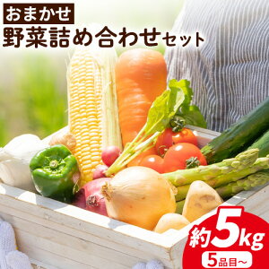 yӂ邳Ɣ[ŁzlĜy݁܂؋lߍZbg(󂠂i) 5i~ 5kg JA킩܎YX ₩()s30ȓɏoח\(yj)t a̎R  ؃Zbg