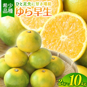 yӂ邳Ɣ[Łz _Vo^ ݂ ƒp 瑁 / ɑ B݂ k a̎R Rǒ Â 2kg 4kg 5kg 7kg 10kg EkCEzs 10{珇