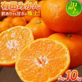 【ふるさと納税】 有田 みかん 訳あり 光センサー 選別 / 温州みかん 有田みかん 甘い 家庭用 和歌山 柑橘 5kg 7.5kg 10kg ※11月中旬より順次発送予定 ※北海道・沖縄・離島への配送不可 //best