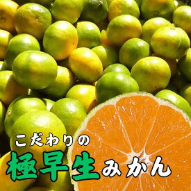 【ふるさと納税】＼レビューキャンペーン中／【先行予約】【2025年秋頃発送予約分】＼光センサー選別／農家直送 こだわりの極早生みかん【選べる容量】※北海道・沖縄・離島配送不可 / 温州みかん 蜜柑 ミカン 柑橘 由良町 果物 フルーツ 産地直送 和歌山県