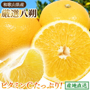 yӂ邳Ɣ[Łz  I / ͂ ݂ k ӊ a̎R Â 5000~ / 1kg 2.5kg 5kg 7.5kg 10kg 2026N1`4{ɏ\ kCEEւ̔zs