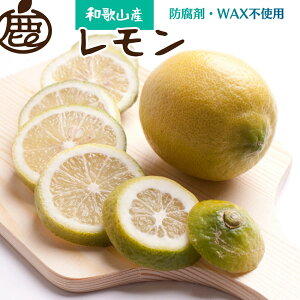 yӂ邳Ɣ[Łz   I / Y a̎R Lc k h܁EWAXsgp 5000~ 9{`N6{ɏ kCEEւ̔zs