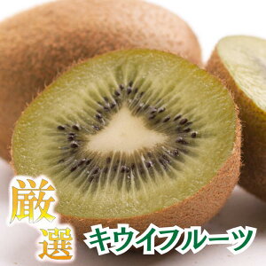 yӂ邳Ɣ[Łz LEC I / LECt[c G a̎R  0.5kg 1kg 3kg 5kg 6000~ 2025N11{`2026N4{ɏ kCEEւ̔zs