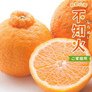 yӂ邳Ɣ[Łz sm ƒp 2026N2`3{ɏ\ / ݂ 󂠂 ʂ ZT[ I fR| k ӊ a̎R Â 5000~ / 1kg 2.5kg 5kg 7.5kg 10kg kCE