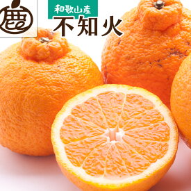 【ふるさと納税】＜先行予約＞ ＜2月より発送＞ 厳選 不知火 デコポンと同品種 人気の春みかん 光センサー選別 ［IKE123］ | みかん 不知火 しらぬい デコポン 春みかん 厳選 和歌山 蜜柑 柑橘 柑橘類 果物 フルーツ 和歌山県 由良町 お取り寄せ