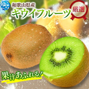 yӂ邳Ɣ[Łz LEC I / LECt[c G a̎R  0.5kg 1kg 3kg 5kg 6000~ 2025N11{`2026N4{ɏ kCEEւ̔zs