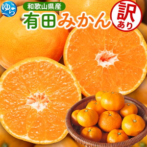 yӂ邳Ɣ[Łz Lc ݂ 󂠂 / B݂ Lc݂ ƒp ZT[ I Â a̎R k 1kg 2.5kg 5kg 7.5kg 10kg 5000~ 2025N10菇\ kCEEւ̔z