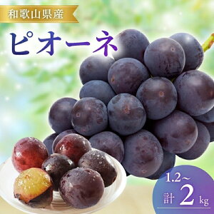 yӂ邳Ɣ[Łz sI[l a̎R / uhE  嗱  2kg 8{`9{ɏitwsj