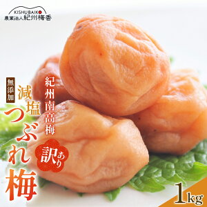 yӂ邳Ɣ[Łz _Vo^ ~ _ Y̖󂠂茸Ԃ~1kgi500×2j3 / a̎R IB썂~ ߂ڂ 썂~ Ԃ 킯