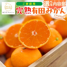 【ふるさと納税】＜先行予約＞有田育ちの完熟有田みかん 家庭用【選べる 容量・発送月】 ※2025年10月～2025年12月発送（北海道・沖縄・その他離島地域は発送不可） / 有田みかん ミカン 柑橘 甘い くだもの フルーツ 果物 産地直送 和歌山