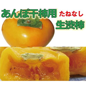 yӂ邳Ɣ[Łza`˖ ۊ`pT}4.5`5kg@24`302025N10{`11{돇yART16z | t[c ʕ  Hi lC  