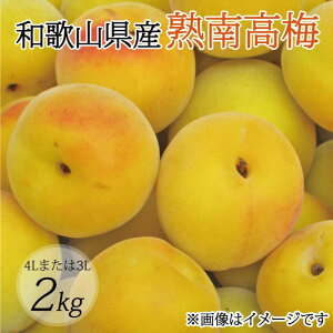 yӂ邳Ɣ[Łzy~E~pzi4L܂3L|2Kgjn썂~2026N6{`7{ɏ\聄t[c ʕ  Hi lC  yART10z
