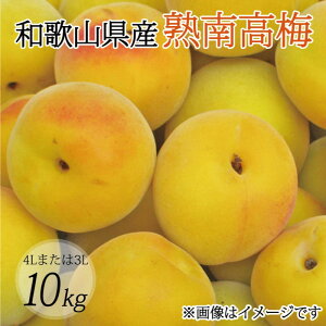 yӂ邳Ɣ[Łzy~E~pzi4L܂3L|10kgjn썂~2026N6{`7{딭\聄t[c ʕ  Hi lC  yART09z