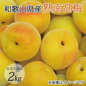yӂ邳Ɣ[Łzy~E~pzi3L܂2L|2Kgjn썂~2026N6{`77\聄t[c ʕ  Hi lC  yART06z