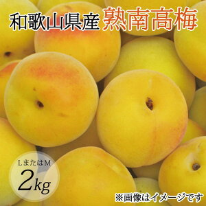 yӂ邳Ɣ[Łzy~E~pziL܂M|2Kgjn썂~2026N6{`7{\聄t[c ʕ  Hi lC  yART07z