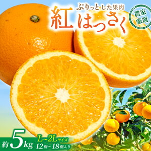 【ふるさと納税】先行予約!希少な紅はっさく 12〜18個入り(L〜2Lサイズ)【2025年1月初旬頃から発送】【KG9】 | はっさく フルーツ 果物 くだもの 食品 人気 おすすめ 送料無料