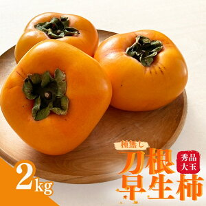 yӂ邳Ɣ[Łz ` 햳 Gi  / 햳      2kg 6 2025N9{菇