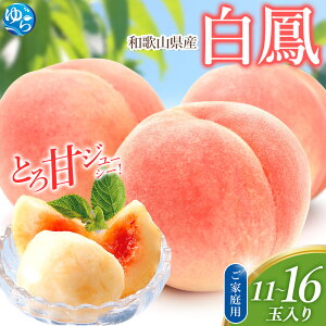 yӂ邳Ɣ[Łz 󂠂  P 11`16ʓ /  ƒp ʌ 2026N6{7{딭