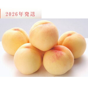 yӂ邳Ɣ[Łz2026Ns\ a̎RY ̏wx 5`8ʓ Giy2026N7{8{딭zb   ʕ fU[g lC