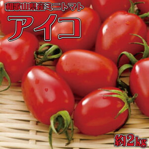 yӂ邳Ɣ[Łza̎RY~jg}guACRg}gv2kgiSEMTCY܂jmTM109n | a̎R R a̎R Rǒ a̎RRǒ yVӂ邳 [   O 