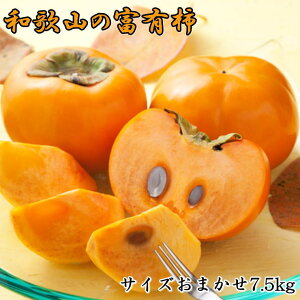 yӂ邳Ɣ[Łz [Ê`̉l]a̎RYxL`@7.5kg TCY܂2025N11{`2025N12{yTM5z | a̎R R a̎R Rǒ a̎RRǒ yVӂ邳 [ 