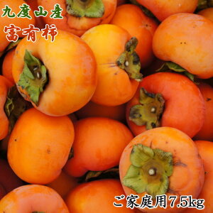 yӂ邳Ɣ[Łz`̖YnxR̕xL`7.5kgƒp2025N11{菇yTM1z