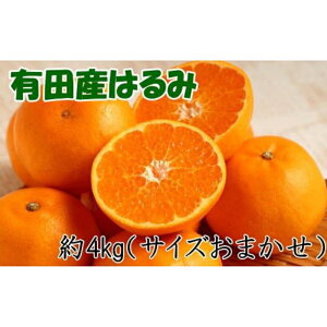 yӂ邳Ɣ[ŁzyIEZzIBLcŶ͂ݖ4kg(TCY܂) 2026N1{`2026N2{菇yTM27z | a̎R R a̎RRǒ yVӂ邳 [  