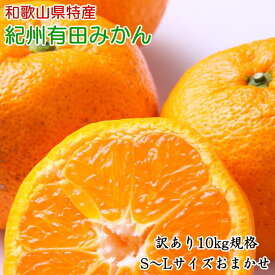 【ふるさと納税】[訳あり]和歌山有田みかん約10kg(S～Lサイズいずれかお届け）★2025年11月中旬頃より順次発送［TM82］ | 和歌山 由良 和歌山県 由良町 楽天ふるさと 納税 取り寄せ お取り寄せ フルーツ お取り寄 柑橘 柑橘類 果物 くだもの