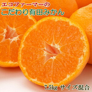 yӂ邳Ɣ[ŁzGRt@[}[̂Lc݂7.5kgiTCYj2025N11{菇mTM94n | a̎R R a̎R Rǒ a̎RRǒ yVӂ邳 [ 